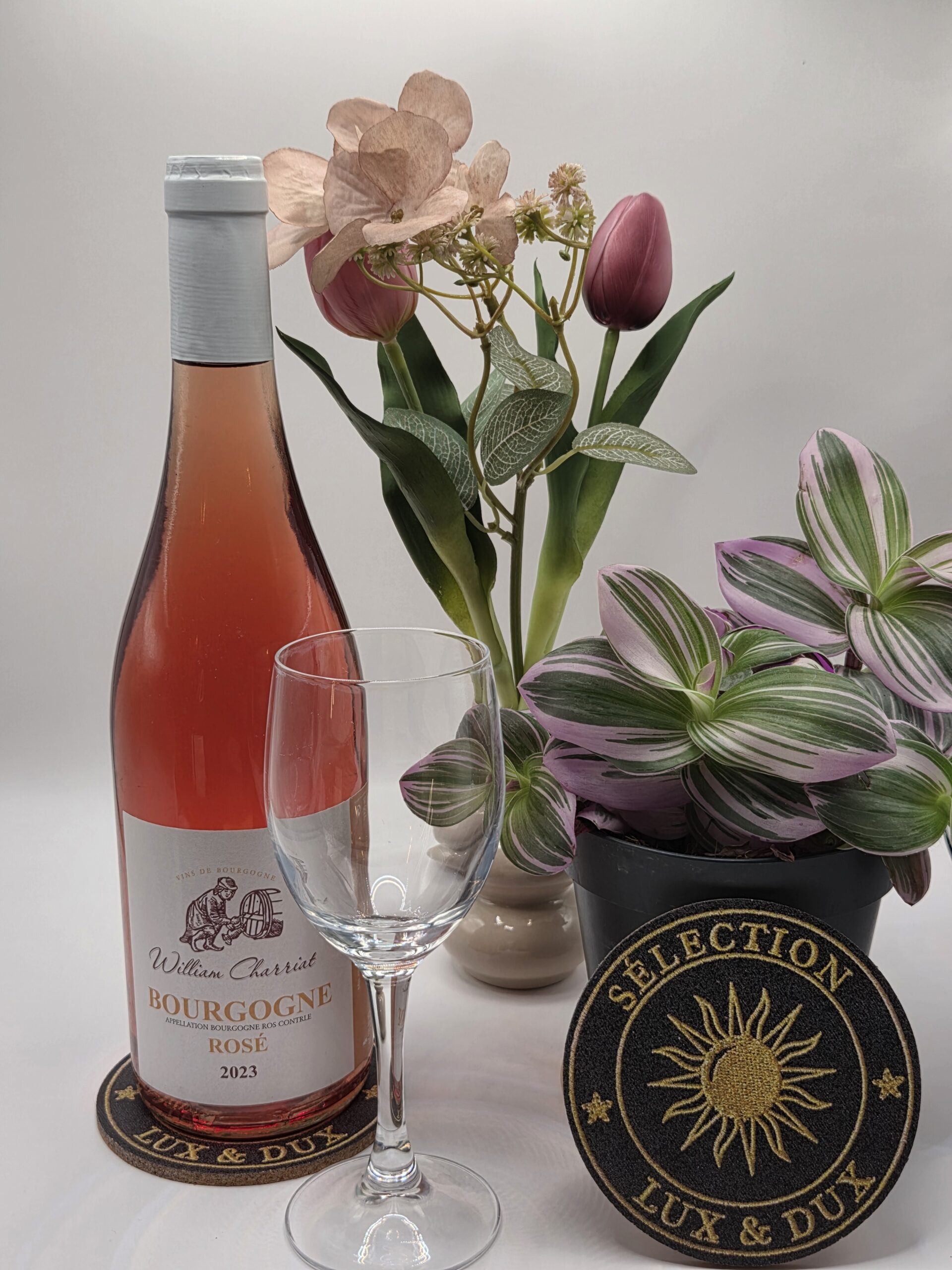 Bourgogne Rosé - Irancy - Domaine William et Martin CHARRIAT – Image 2
